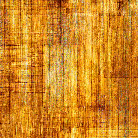 QT Fabrics - Into The Woods - Wood Texture - Amber