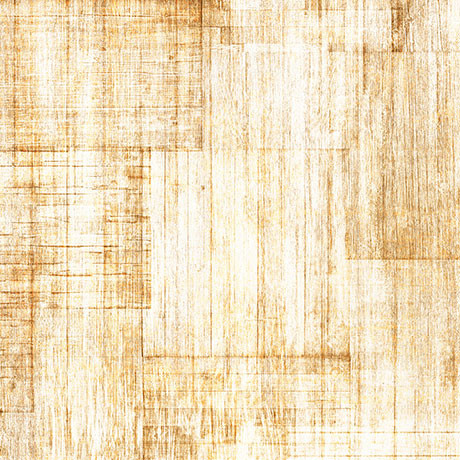 QT Fabrics - Into The Woods - Wood Texture - Sand