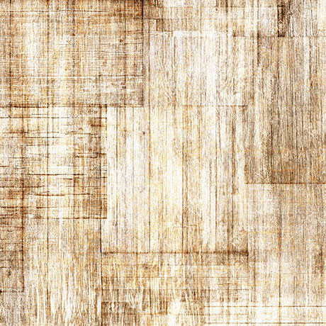 QT Fabrics - Into The Woods - Wood Texture - Driftwood
