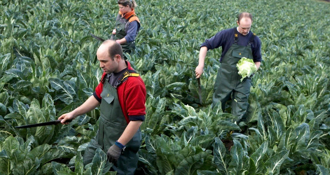 Guy Cotten Agri Waterproofs