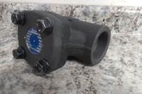 Sharpe Valves 4371001560 2 In Piston Check Valve-96377664