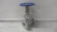 Sharpe 4371004860 3 In Flange Connection 316 Stainless Steel Gate Valve-10989452