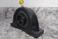 SealMaster NP-22 1-3/8 In Bore Diameter Cast Iron Housing Pillow Block Bearing-81103418