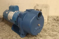 Goulds Water Technology GT30 3 HP 230VAC 129 Ft Max Head Sprinkler Pump-23435232