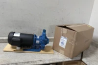Finish Thompson DB15P-M209 3 HP 3450 RPM 208-230/460VAC Magnetic Drive Pump-96063481