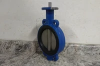 ABZ Valves 5322114440 6 In Pipe Size Ductile Iron Body Butterfly Valve-71687394