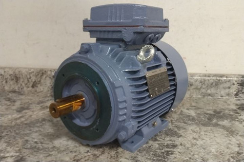 Marathon Motors TCA2P22AE251GAA009 3 HP 1770 RPM 230/460V General Purpose Motor-53077264