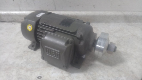 Weg 00336ES3ESA80SL 3 HP 3500 RPM 208-230/460VAC 3-Phase Saw Arbor Motor-86163304