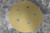 3M 7000119542 3 Pk (100 Discs/Roll) 5 In Diameter PSA Sanding Disc Roll-79056691