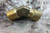 Parker 179C-6-6 10 Pk 3/8 In Pipe Size 45 Degree Brass Male Elbow-61818848