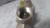 Watts 1 LF174A 75 FS 1 In FNPTF x FNPTF Connection 75 PSI Relief Valve-17487354