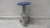 Sharpe 4371004860 3 In Flange Connection 316 Stainless Steel Gate Valve-10989452