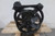 Ingersoll Rand 2475 5; 7.5 HP 1600 RPM Pump Speed 2 Stage Air Compressor Pump-54314696