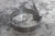 Band-It UL2119 50 Pk 3/4 In Band Width 2-3/4 In Maximum Outside Dia Band Clamp-65441040