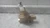 Zurn Wilkins 12-600XL 1-1/2 In Pipe Size Water Pressure Reducing Valve-48643017