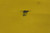Eagle 4510XLEGS 45 Gal Storage Cap Yellow Steel Flammables Safety Cabinet-37572930