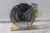 Coxreels P-LPL-425-SS 1/2 In Inside Dia 25 Ft Max Hose L Spring Return Hose Reel-86141008