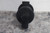 Spence 85-C1H9 2 In Female Port Connection Cast Iron Body Steam Trap-66825351