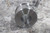 Boston Gear FC30 1-1/4 1-1/4 In Bore Diameter 3450 Max RPM Shaft Coupler Body-14696469