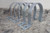 Hubbell Raco 2246-2 5 Pk 6 In Heavy Duty Stamped Steel Two Hole Rigid Strap-41008843