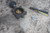 Milwaukee Valve CL223E 3 3 In Pipe Size Cast Iron Body Lug Butterfly Valve-91075553