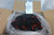 Ansell Edge 48-126VP 36 Cases (144 Pairs/Case) Size 7 Latex Free Gloves-19236880