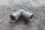 Legris 0912 00 10 50 Pk 1/8 In BSPP Fitting Brass 90° Elbow-75750354