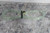 Pig TLS903-YW 48-1/2 In Length 3.33 GPM Drainage Rate Leak Diverter Tarp Kit-36014058