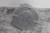 U.S. Motors 1819H 1-1/2 HP 1140 RPM 208-230/460VAC 3-Phase Condenser Fan Motor-29968762