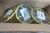 Argos Technologies LRH0000 6 Pk Yellow Lead Ring Holder-12144450