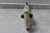 Ingersoll Rand 93LA1 1-11/16 In Bore Diameter 2-1/2 In Stroke Length Air Digger-18473998