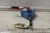 Falltech 7281 60 Ft Length 310 Lb Weight Capacity Self-Retracting Lifeline-53271384