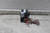 Fasco D291A 1/40; 1/25; 1/15; 1/10 HP 1050 RPM 115VAC Room Air Conditioner Motor-16142270