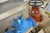 Watts LF909-DNRS-FS 4 In Flange 600 GPM Reduced Pressure Zone Assembly-34701685