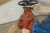 Watts LF909-DNRS-FS 4 In Flange 600 GPM Reduced Pressure Zone Assembly-34701685