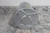 Carrier HD52AZ001 2 HP 1140 RPM 208-230/460VAC 3-Phase Replacement Motor-34339489