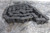 Tsubaki 160RIV 10 Ft Overall Length 2 In Pitch 160 Chain Number Roller Chain-61085448