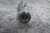 Belden DUJ-SS1125x563 9/16 In Bore Diameter 5-1/8 In Overall L Universal Joint-81570135