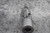 Belden DUJ-SS1125x563 9/16 In Bore Diameter 5-1/8 In Overall L Universal Joint-81570135