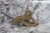 Bridgeport Fittings SDB-1302B 20 Pk 10 AWG to 2 AWG Single Screw Ground Clamp-88542298