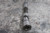 Belden TUJ-HD1500x750K-S 3/4 In Bore Diameter 14-13/16 In L Universal Joint-60217897