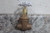 Milwaukee Valve UP115 1 6 Pk 1 In Sweat x Sweat Connection Bronze Gate Valve-98156922