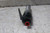 Ingersoll Rand 182LNA1 1/4 In Female NPT Air Inlet Heavy Duty Needle Scaler-93643188