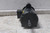 Baldor Electric L3515T 2 HP 3450 RPM 115/230VAC Cap-Start General Purpose Motor-61062611