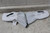 BDG 50-9-5010-XS 6 Pairs Size XS 14-4/5 In Length Leather Mitts-24668974