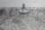 Trico 31820 4 Oz Reservoir Capacity Self Leveling Oiler-11185464