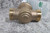 Zurn Wilkins 34-NR3XLDUPEX 3/4 In Inlet/Outlet Water Pressure Reducing Valve-46645840