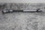 Belden TUJ-HD1500x750K 3/4 In Bore Diameter 17-3/4 In Overall L Universal Joint-17711541
