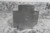 Parker 1-1/4 KMMOO-S 1-1/4 In NPT 5,000 Max PSI Steel Cross-93207897