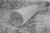 B&B Manufacturing 24-8M-PS10A 2.352 In OD 24 Teeth Timing Pulley Bar Stock-24778980